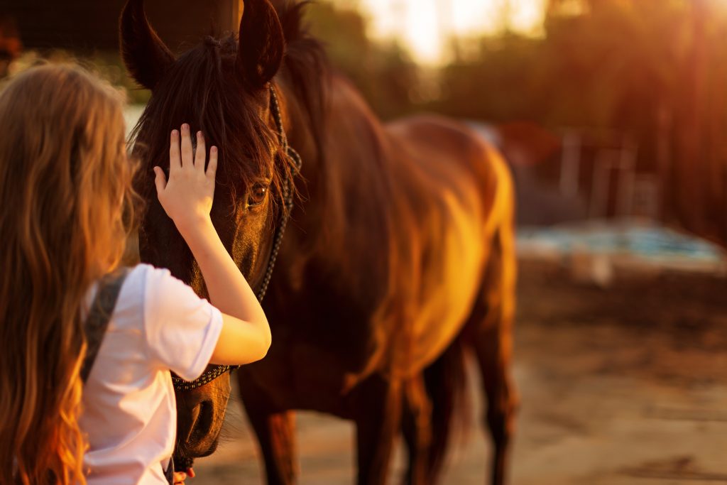 Young,Blonde,Girl,Stroking,A,Brown,Horse.